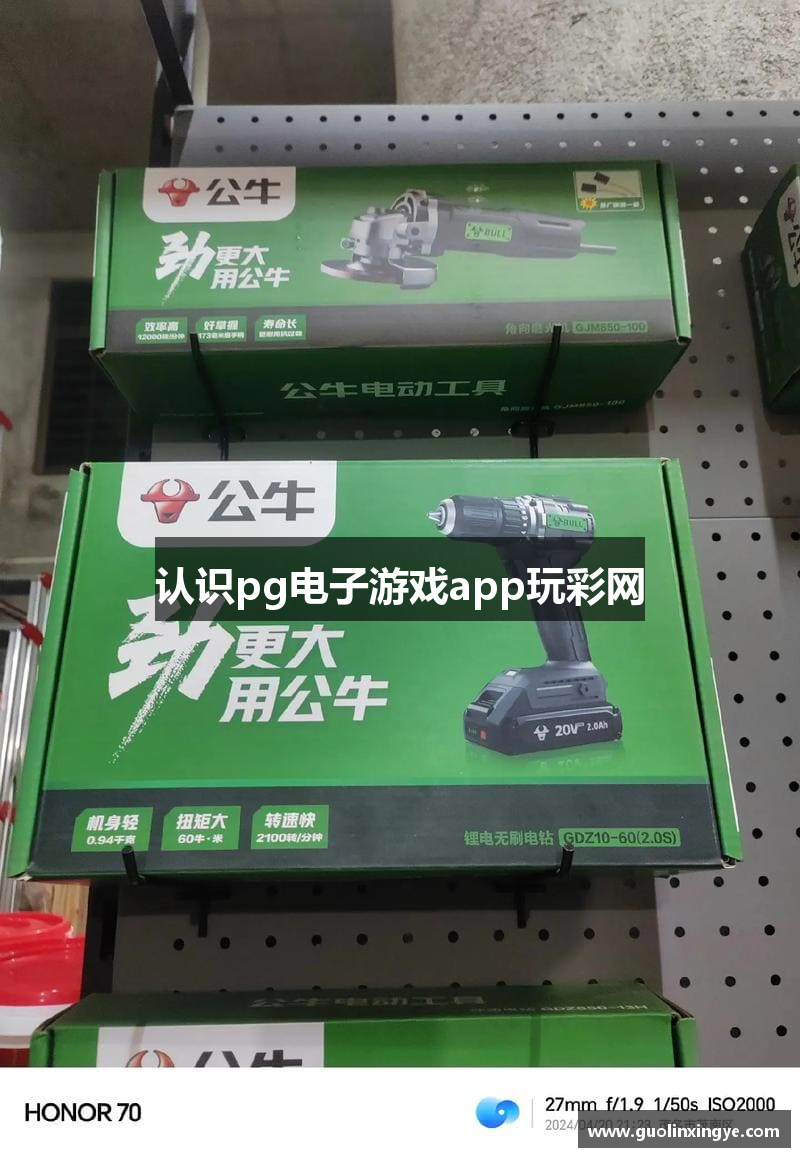 认识pg电子游戏app玩彩网